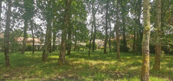 Terrain à bâtir à Audenge, Nouvelle-Aquitaine