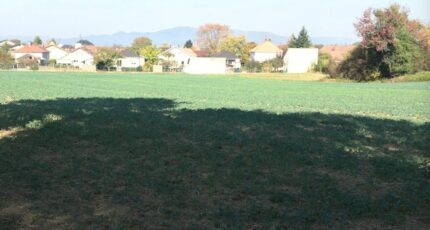 Morschwiller-le-Bas Terrain à bâtir - 2347173-11139annonce120251124f99EJ.jpeg Maisons France Confort