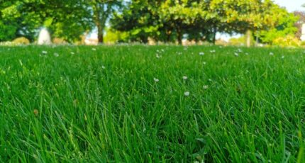 Hourtin Maison neuve - 2347431-3957annonce120251124JAnVs.jpeg Maisons France Confort