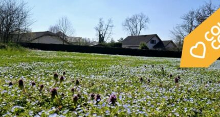 Hauteville-sur-Fier Maison neuve - 2251274-10163annonce1202504289y2br.jpeg Maisons France Confort