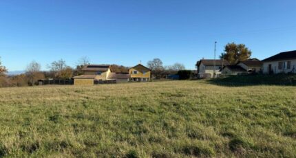 Thodure Terrain à bâtir - 2249879-11248annonce1202504222d2OD.jpeg Maisons France Confort