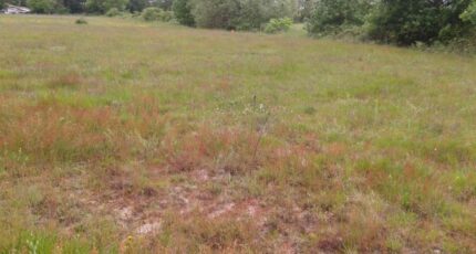 Cubzac-les-Ponts Maison neuve - 2344815-11015annonce120251120mSMwx.jpeg Maisons France Confort