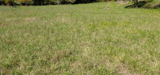 Terrain à bâtir à Saint-Hilaire-de-Lusignan, Nouvelle-Aquitaine