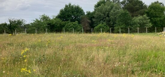 Terrain à bâtir à Les Peintures, Nouvelle-Aquitaine
