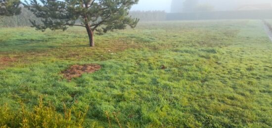 Terrain à bâtir à Couzeix, Nouvelle-Aquitaine