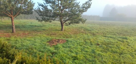 Terrain à bâtir à , Haute-Vienne