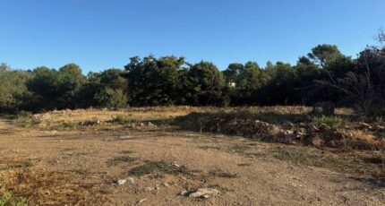 Rocbaron Terrain à bâtir - 2276360-11136annonce220250919elysV.jpeg Maisons France Confort