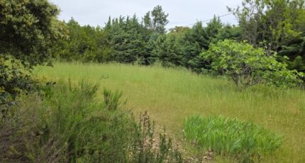 Cucuron Terrain à bâtir - 2348028-2970annonce220251125IciTh.jpeg Maisons France Confort