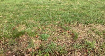 Saint-Georges-des-Coteaux Terrain à bâtir - 2348387-10974annonce120251125KpHJ6.jpeg Maisons France Confort