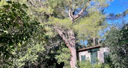 Plan-d'Aups-Sainte-Baume Maison neuve - 2290150-10271annonce320251001Juhvm.jpeg Maisons France Confort