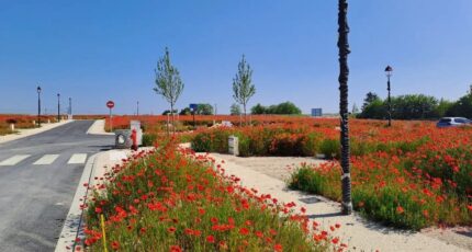 Maulette Maison neuve - 2300077-10686annonce120250506EUHUh.jpeg Maisons France Confort