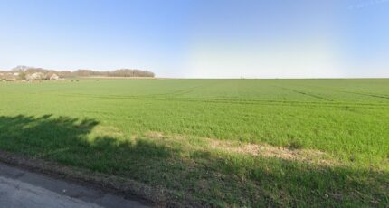 Mézy-sur-Seine Terrain à bâtir - 2313755-10686annonce120251022EcGza.jpeg Maisons France Confort