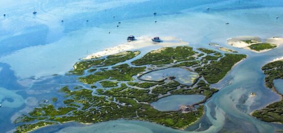 Terrain à bâtir à Biganos, Nouvelle-Aquitaine