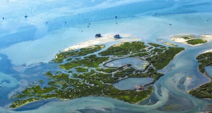 Biganos Maison neuve - 2348535-11151annonce1202508056DSps.jpeg Maisons France Confort