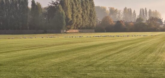 Terrain à bâtir à , Nord
