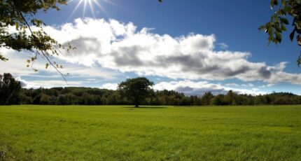 Artannes-sur-Indre Terrain à bâtir - 2344840-10650annonce1202511201LQTv.jpeg Maisons France Confort