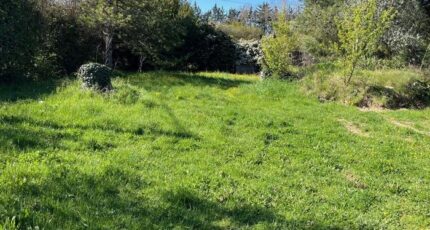 Le Taillan-Médoc Terrain à bâtir - 2225449-11016annonce120250716sDtvP.jpeg Maisons France Confort