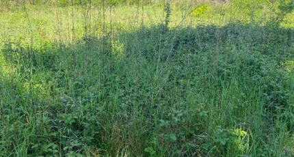 Le Teich Maison neuve - 2349004-11311annonce220251126tpNmb.jpeg Maisons France Confort