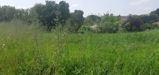 Terrain à bâtir à , Haute-Garonne