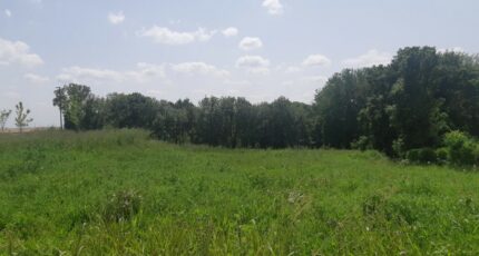 Castelnau-d'Estrétefonds Maison neuve - 2305223-5202annonce320251014OuysP.jpeg Maisons France Confort