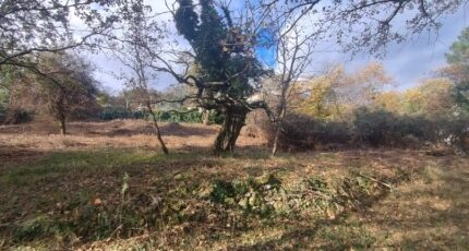 Vesseaux Terrain à bâtir - 2348847-5100annonce220251125psydP.jpeg Maisons France Confort