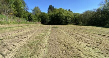 Bonnac-la-Côte Maison neuve - 2349165-3291annonce120251126uNOHl.jpeg Maisons France Confort