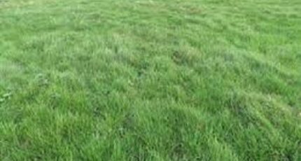 La Selle-sur-le-Bied Terrain à bâtir - 2348720-1635annonce120251125BfRnF.jpeg Maisons France Confort