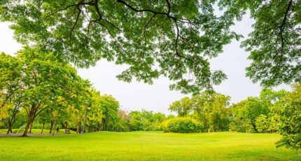 Fuveau Maison neuve - 2349253-7054annonce120250916iymp6.jpeg Maisons France Confort