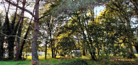 Terrain à bâtir à Saint-Sauveur, Nouvelle-Aquitaine