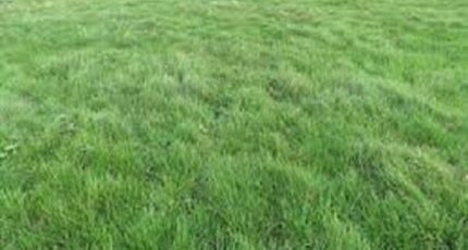 Ury Terrain à bâtir - 2318031-7255annonce120251025cGsuw.jpeg Maisons France Confort