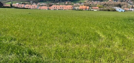 Terrain à bâtir à Tournehem-sur-la-Hem, Hauts-de-France