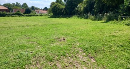 Escœuilles Terrain à bâtir - 2271628-11072annonce120250915AkJlP.jpeg Maisons France Confort