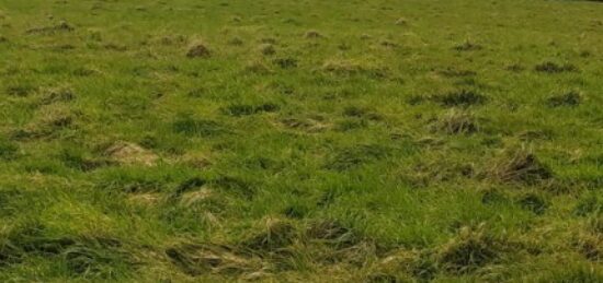 Terrain à bâtir à Saint-Martin-Boulogne, Hauts-de-France