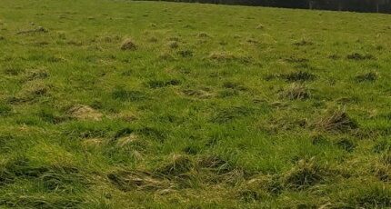 Saint-Martin-Boulogne Maison neuve - 2273642-11072annonce120250917tTOQD.jpeg Maisons France Confort