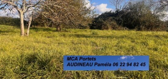 Terrain à bâtir à Capian, Nouvelle-Aquitaine