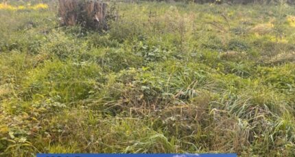 Créon Terrain à bâtir - 2350181-3601annonce12025112601r0h.jpeg Maisons France Confort