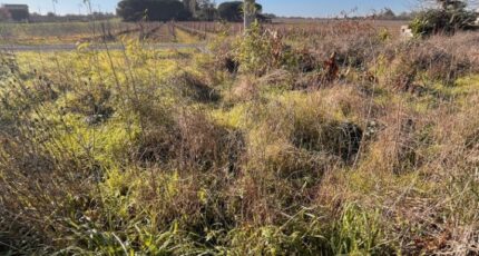 Castres-Gironde Terrain à bâtir - 2350209-3601annonce120251126IcZzo.jpeg Maisons France Confort