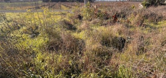 Terrain à bâtir à Castres-Gironde, Nouvelle-Aquitaine