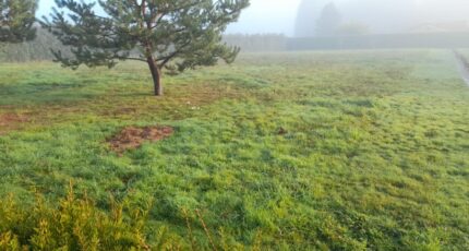 Couzeix Terrain à bâtir - 2350297-3291annonce120251126qVrwi.jpeg Maisons France Confort