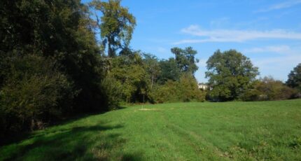 Faleyras Terrain à bâtir - 2308754-1804annonce120251017pI4vp.jpeg Maisons France Confort