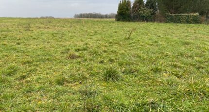 Surgères Terrain à bâtir - 2350467-11194annonce3202511274alW9.jpeg Maisons France Confort