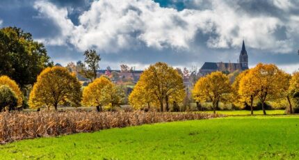 La Chapelle-Saint-Florent Terrain à bâtir - 2350635-11353annonce120251127Xzsuu.jpeg Maisons France Confort
