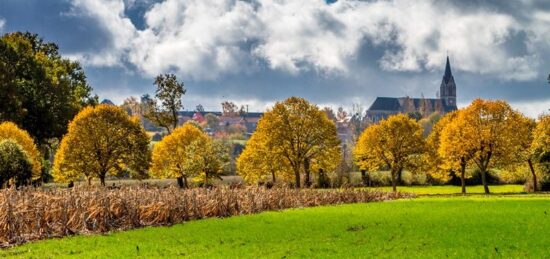 Terrain à bâtir à La Chapelle-Saint-Florent, Pays de la Loire