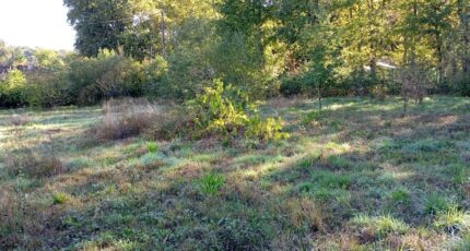 Tresses Maison neuve - 2350936-11596annonce1202511272CbHk.jpeg Maisons France Confort