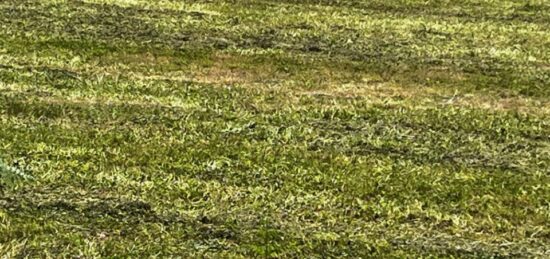 Terrain à bâtir à Loire-les-Marais, Nouvelle-Aquitaine