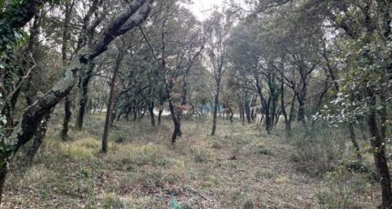 Grignan Maison neuve - 2303313-812annonce4202501317V7Q3.jpeg Maisons France Confort