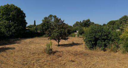 Aigues-Vives Maison neuve - 2306287-11455annonce120251015WTEs2.jpeg Maisons France Confort