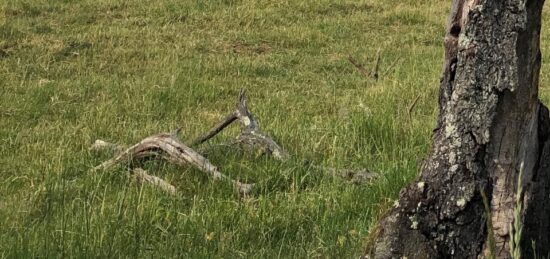 Terrain à bâtir à , Oise