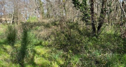 Lanton Terrain à bâtir - 2351508-11276annonce120251127hxvBM.jpeg Maisons France Confort