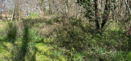 Terrain à bâtir à Lanton, Nouvelle-Aquitaine